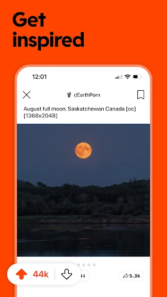 Screen
